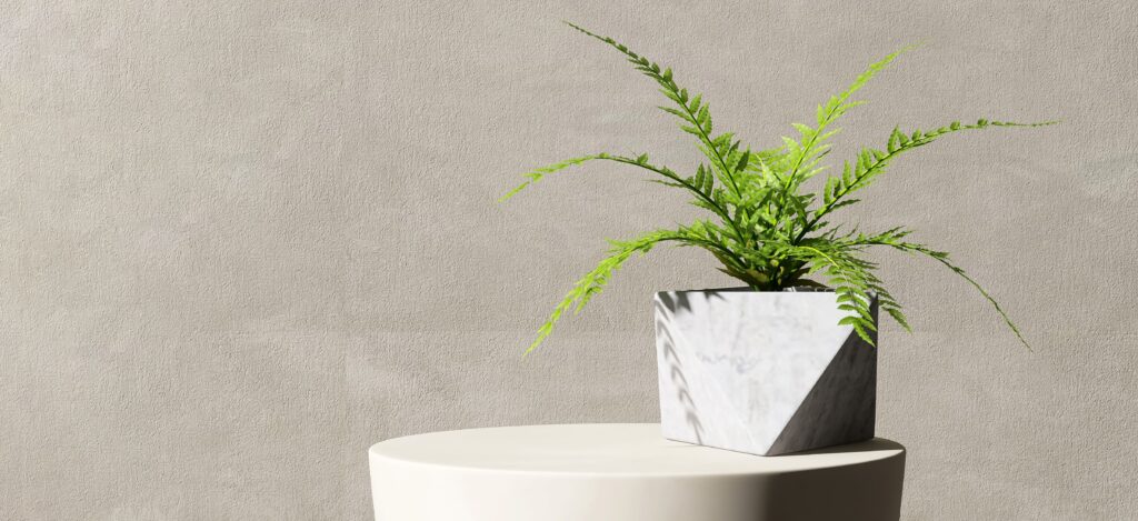 透明感カラーで叶える明るめヘアの魅力｜沖縄県沖縄市のVIM hair 泡瀬店が徹底解説