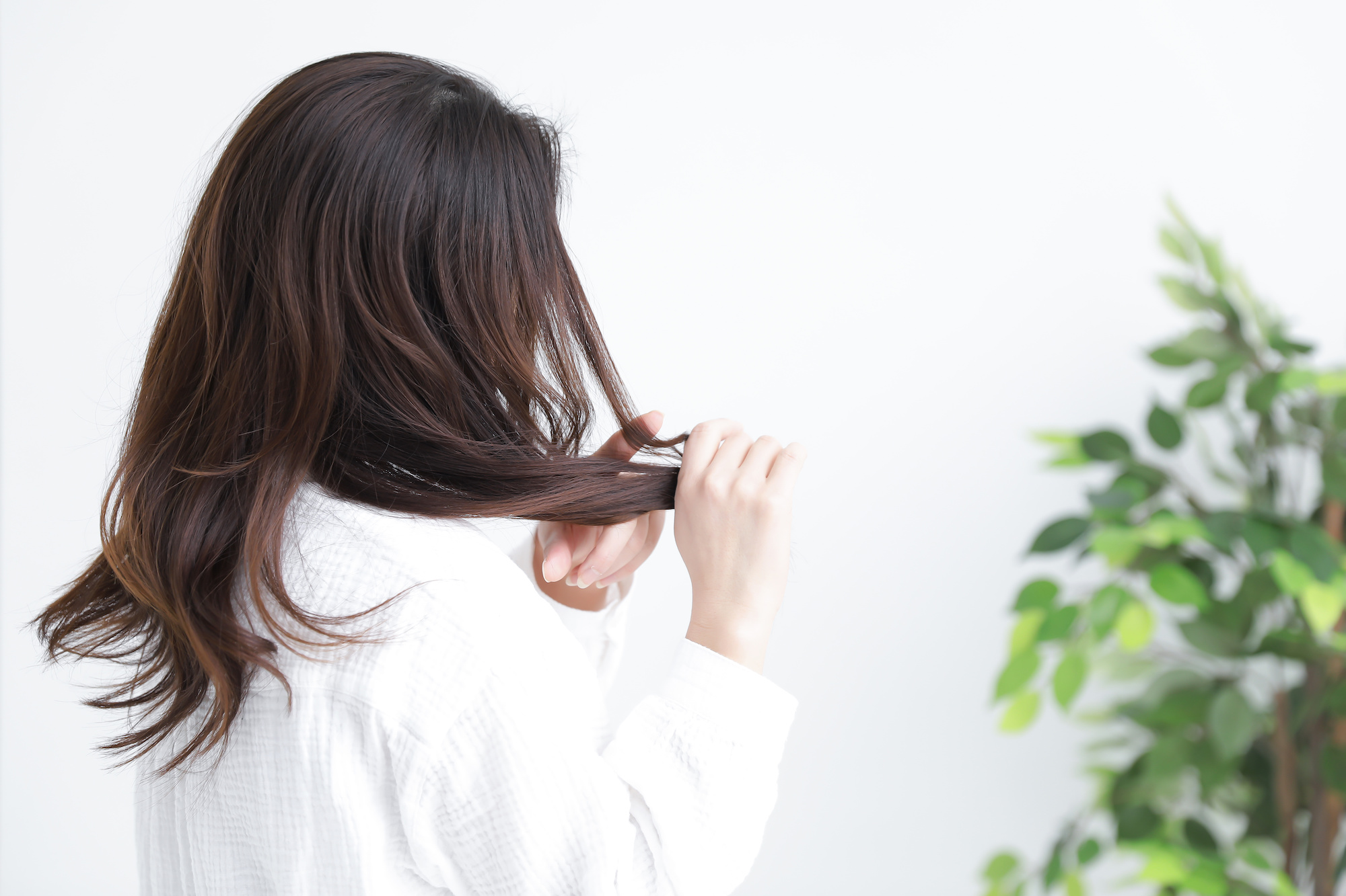 カラー ヘアオイル: 髪の美しさを引き立てる秘密