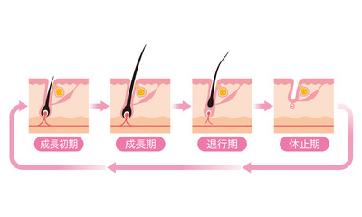 【沖縄県那覇市】Riliy eyelashの顔脱毛｜光脱毛で抜けるまでの期間と効果を徹底解説！|Riliy eyelash